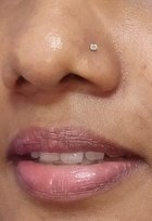 Nose Lover tweet media