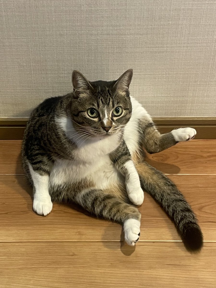 なかざわ とも tweet media