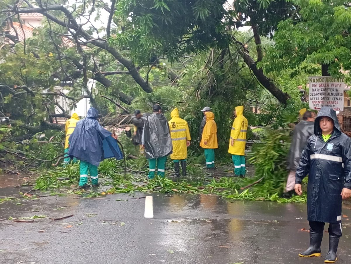 luisbello_asu's tweet photo. Desde la madrugada, los equipos de la Dirección de Servicios Urbanos, Gestión de Riesgos y de la Policía Municipal de Tránsito están en las calles trabajando sin pausa. Realizan poda de árboles caídos, despeje de vías y ordenamiento del tránsito para recuperar la circulación y garantizar la seguridad en toda la ciudad.

Es un despliegue coordinado para dar respuesta inmediata, asistir a quienes lo necesitan y restablecer condiciones seguras en la ciudad durante este temporal que sigue desarrollándose. Trabajamos para proteger a los vecinos y sostener el funcionamiento de Asunción en todo momento.

Están disponibles nuestras líneas de atención para asistir a quienes lo necesiten. Para reportar árboles caídos, comunicarse al 0985 853 144. Para solicitar grúa, escribir por WhatsApp al 0981 274 883