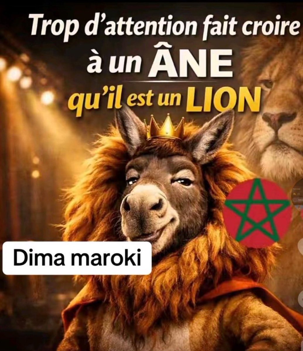Mao Maovitch tweet media
