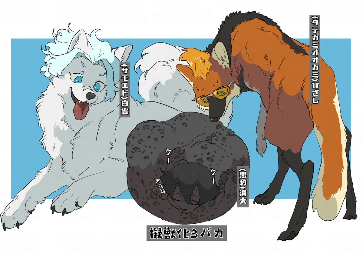 カリヤド tweet media