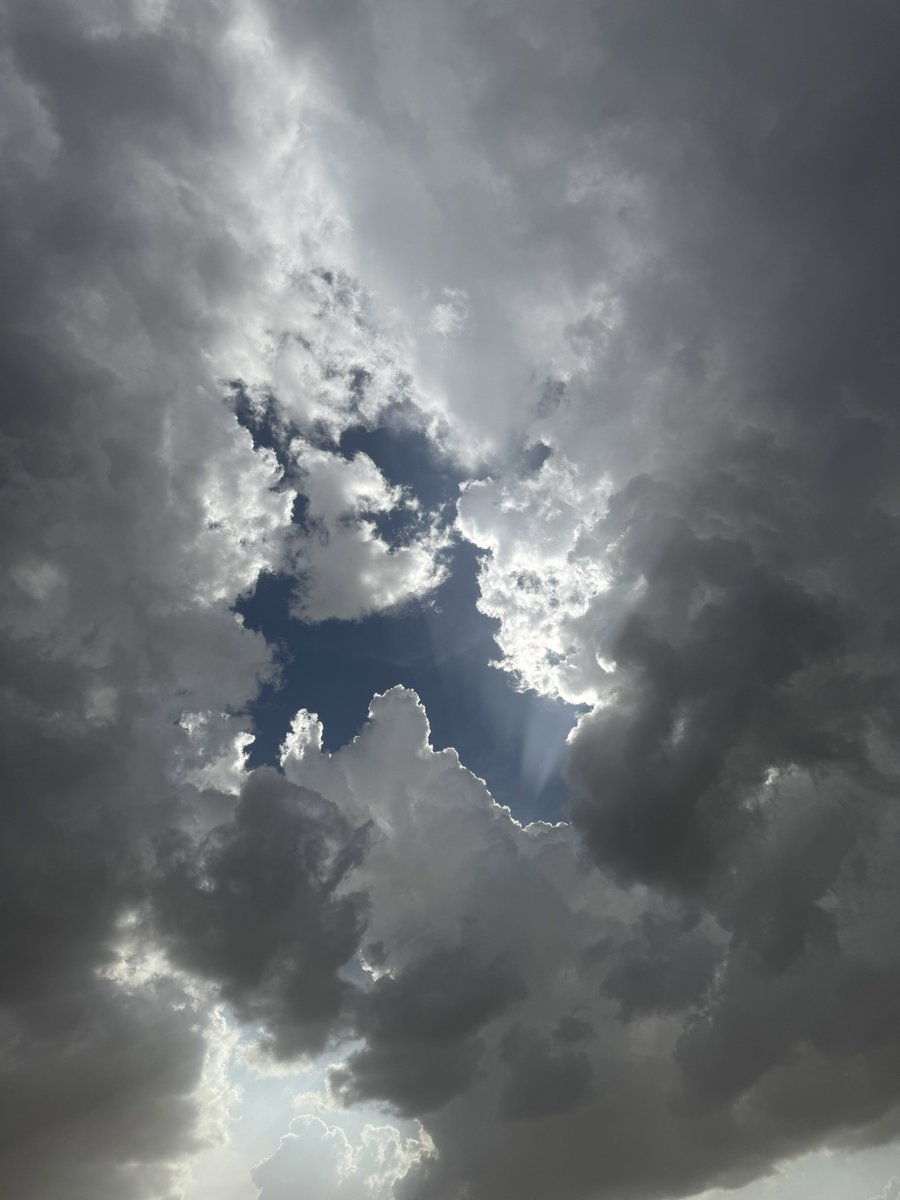 ام أسامه tweet media