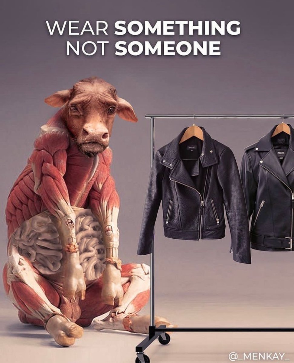 Kirk Lee Rhoads tweet media