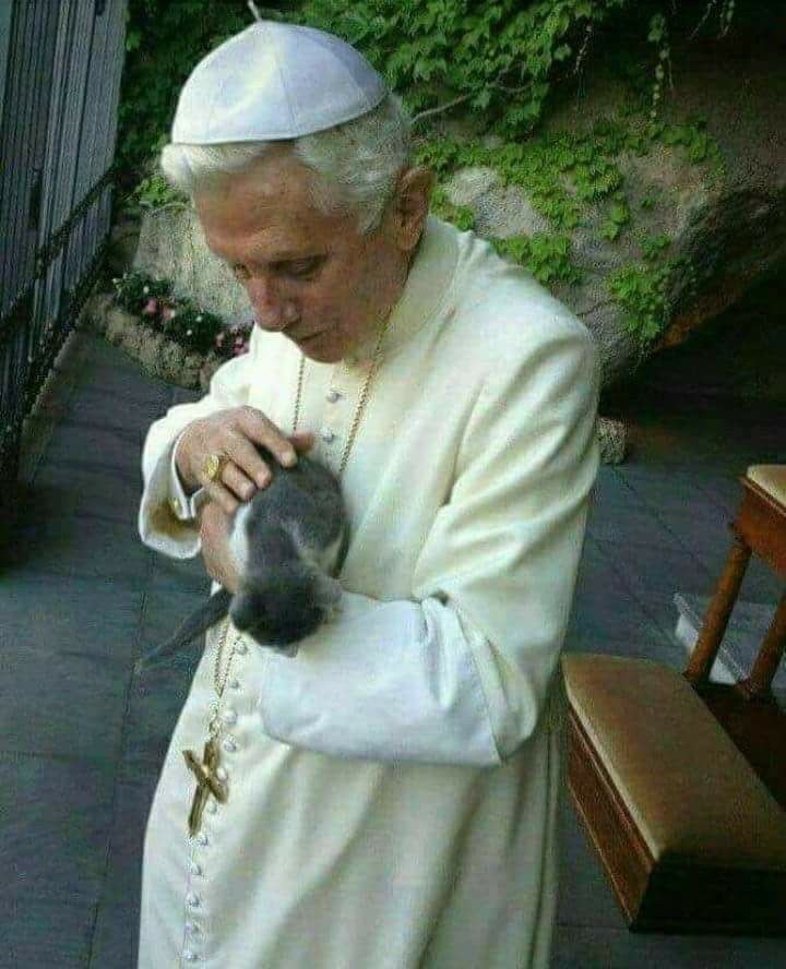 Catholic Arena tweet media