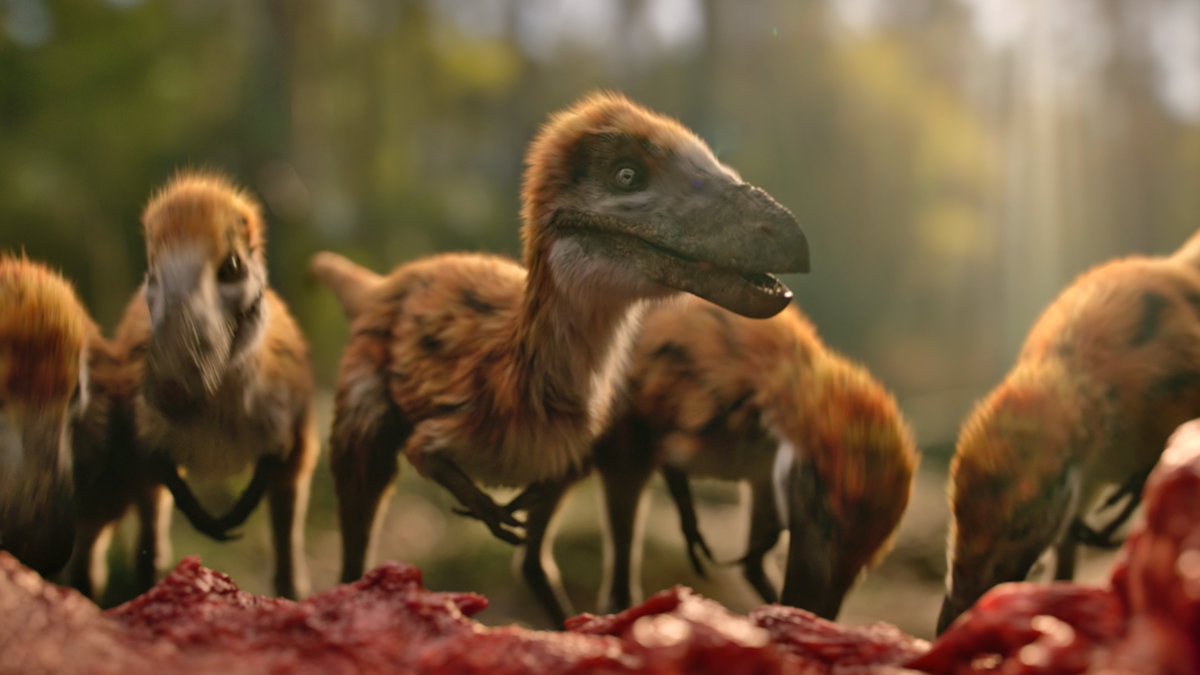 raftingzalmoxes's tweet image. #LifeOnOurPlanet #TheDinosaurs
'The dinosaurs weren't just big, ferocious icons. They had families, they struggled...they were up against massive climatic problems, the planet was throwing everything at them, and they made it for 170 million years.' -- Nick Shoolingin-Jordan