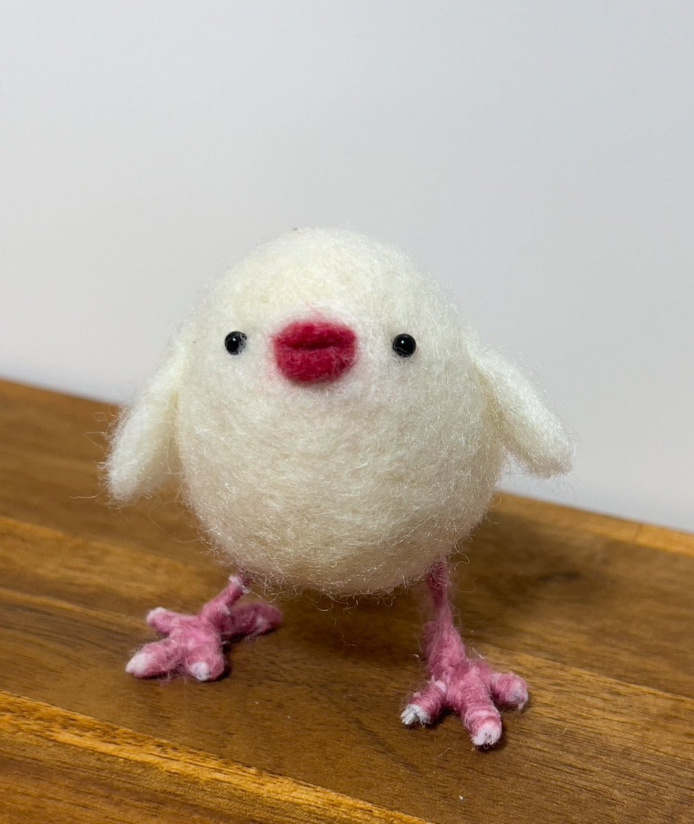 ハトマル tweet media