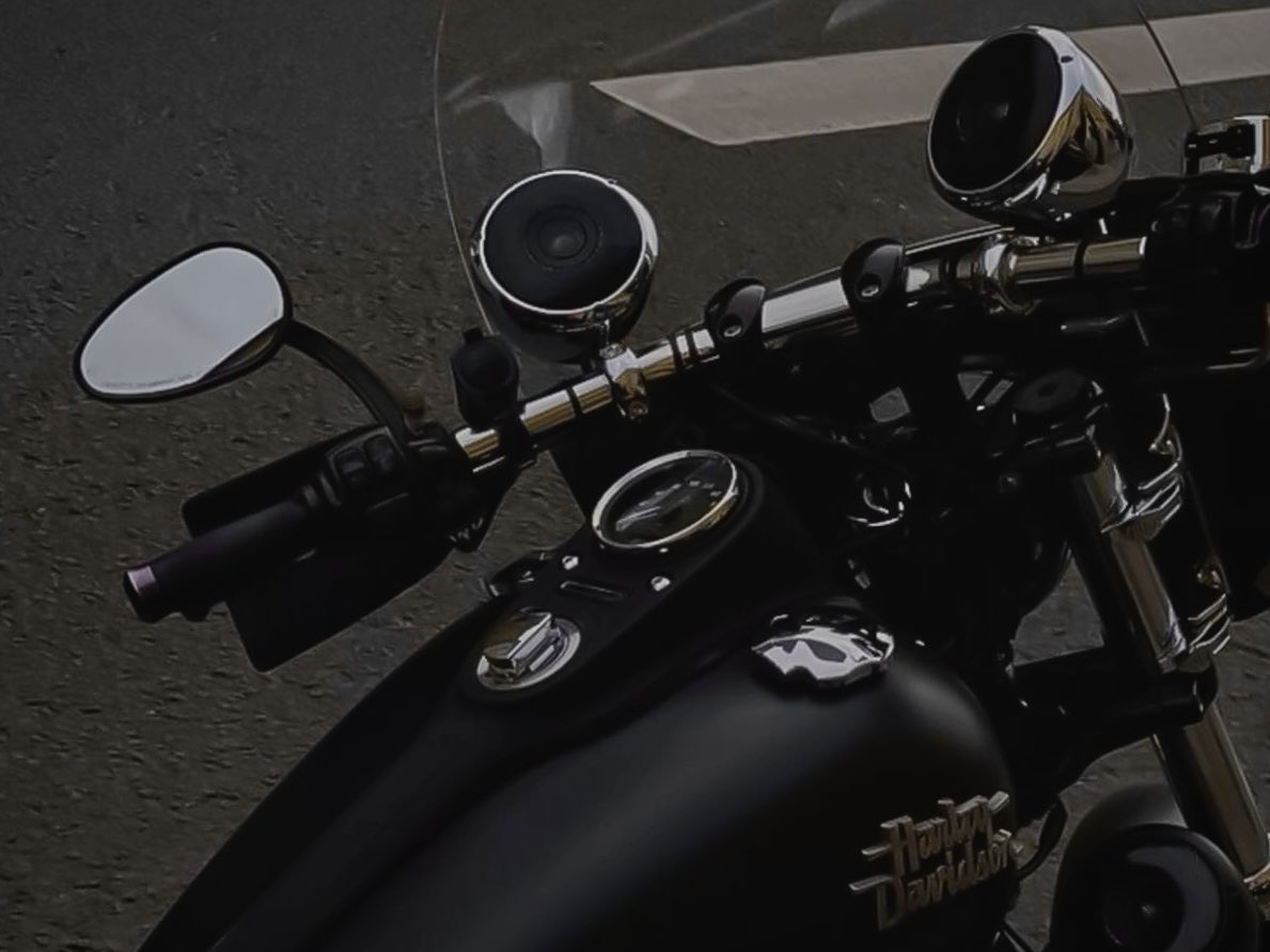 venuz 🦋 (author) tweet media