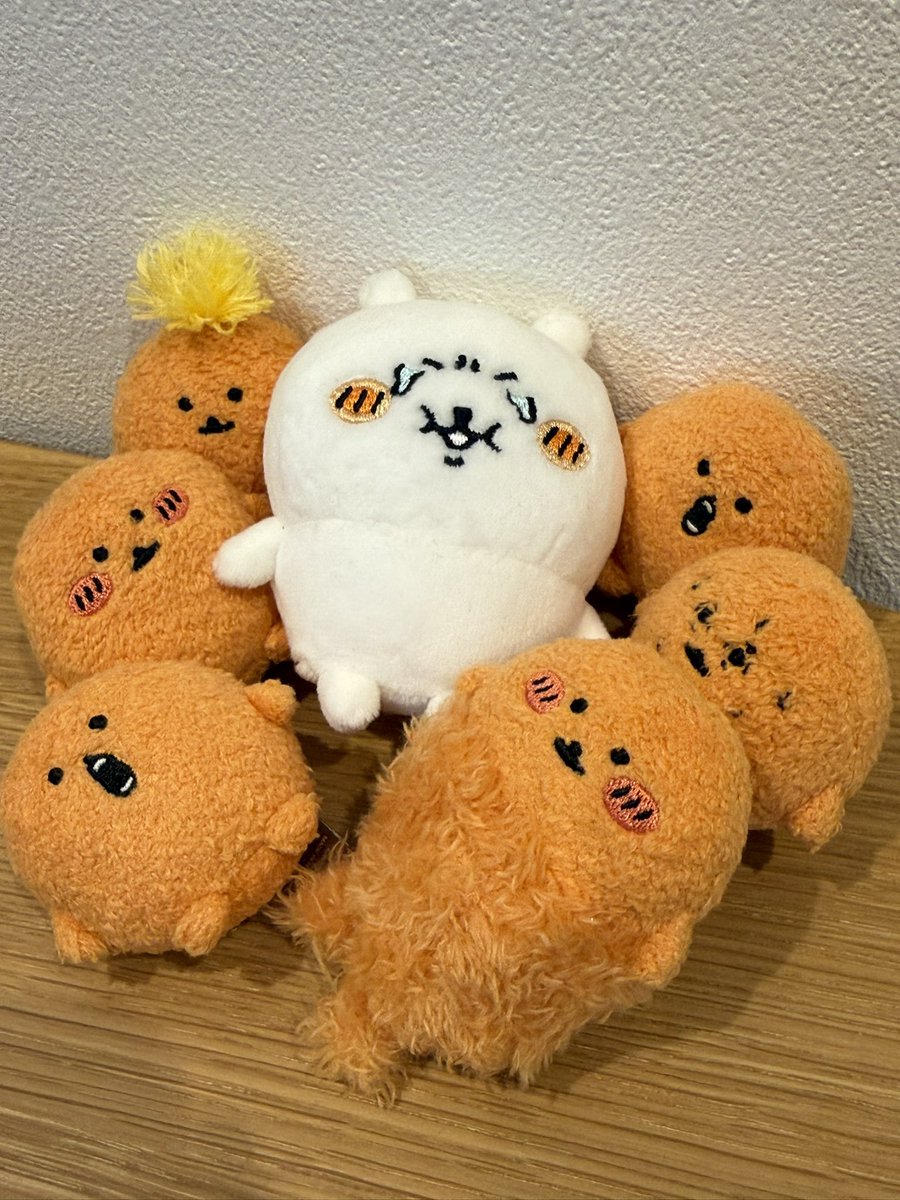 うさ山 tweet media