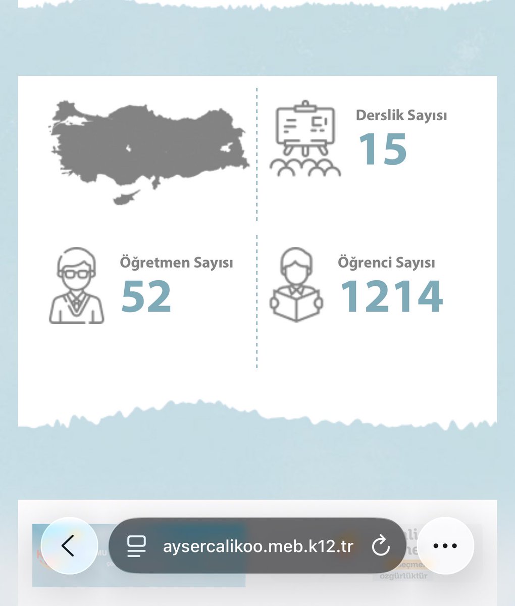 Ece Teacher tweet media