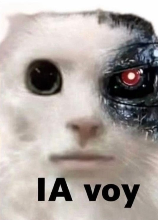 Mere Ravel tweet media