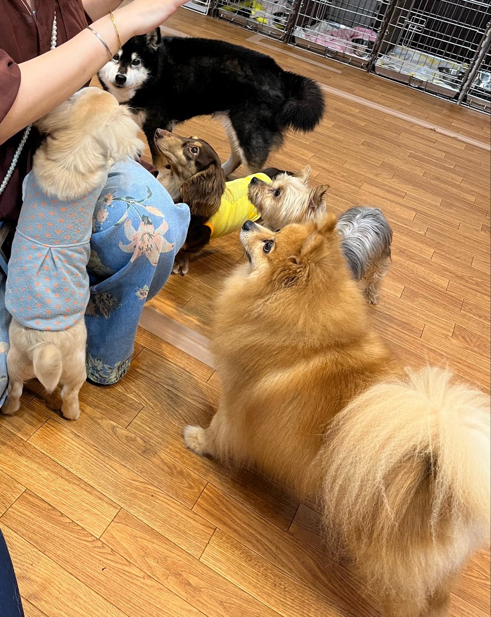 あかね🌸異世界×JUMP tweet media