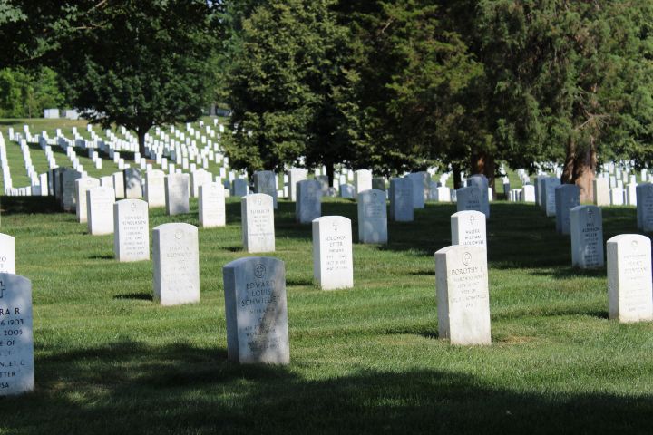 smart_a_smart's tweet photo. Art of the Day! "Arlington cemetery". Buy at: https://t.co/tRYenQOom5 https://t.co/8RXh2wTLOa