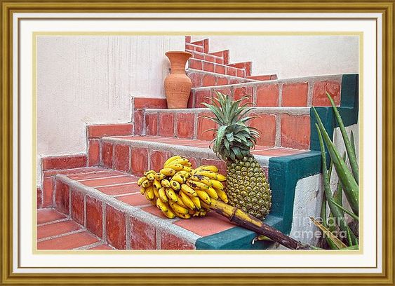 cathsherman's tweet image. Happy National #Banana Day 🍌

#NationalBananaDay is the third Wednesday in April 

Bananas and a pineapple on terracotta steps in Honduras #CLS #Bananas #Pineapple🍍

Photography 📷fineartamerica.com/featured/banan…

Card 📨fineartamerica.com/featured/banan…

Jigsaw Puzzle 🧩fineartamerica.com/featured/banan…