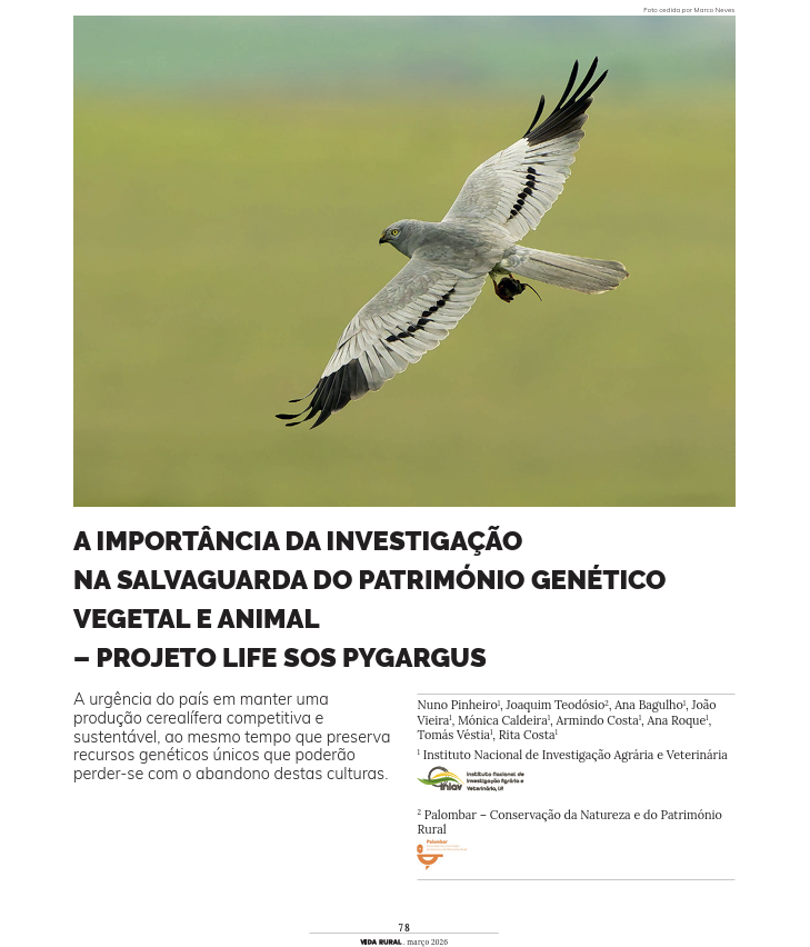 ccdrn's tweet photo. A revista Vida Rural publicou artigo sobre o projeto LIFE SOS Pygargus, que aborda uma questão central: a urgência do país em manter uma produção cerealífera competitiva e sustentável.
📎Leia o artigo completo aqui: https://t.co/qL3uyDJWd9 https://t.co/qN1EZ6RFmE