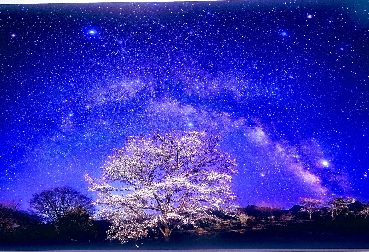 WMinkrich's tweet photo. KAGAYAさんの星空堪能して来ました😌✨横浜そごう美術館で、展覧会「天空の歌」、プラネタリウム横浜で「星の旅」。展覧会ではKAGAYAさんがいらっしゃいましたが(これは12日の日曜日です)緊張して話しかけられませんでした😳
夜の闇を埋め尽くす星々の輝き✨本当に美しかったー🥹 https://t.co/gowZNuGswG