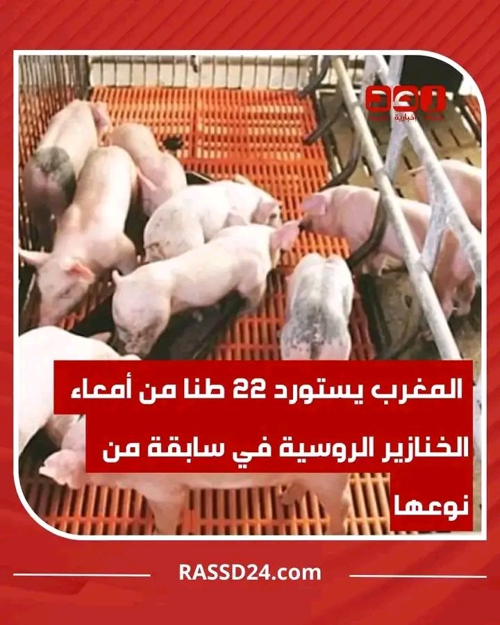 sandra55669's tweet photo. @DREAMERCUP @SG46206016 قرد الصهاينة اللقيط بلد النجاسة والسياحة الجنسية 🏳️‍🌈🏳️‍🌈🇮🇱🤮🇮🇱🇲🇦🇲🇦 انجس بلد بلد المعاصي والمبيقات 18.3مليون سيدا كل البلاد ايدز https://t.co/p0PVoTxq4Y