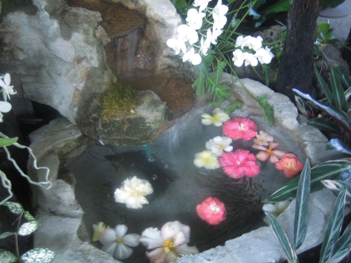 nagi𓅫⸒⸒ (@_narwhal____) on Twitter photo 