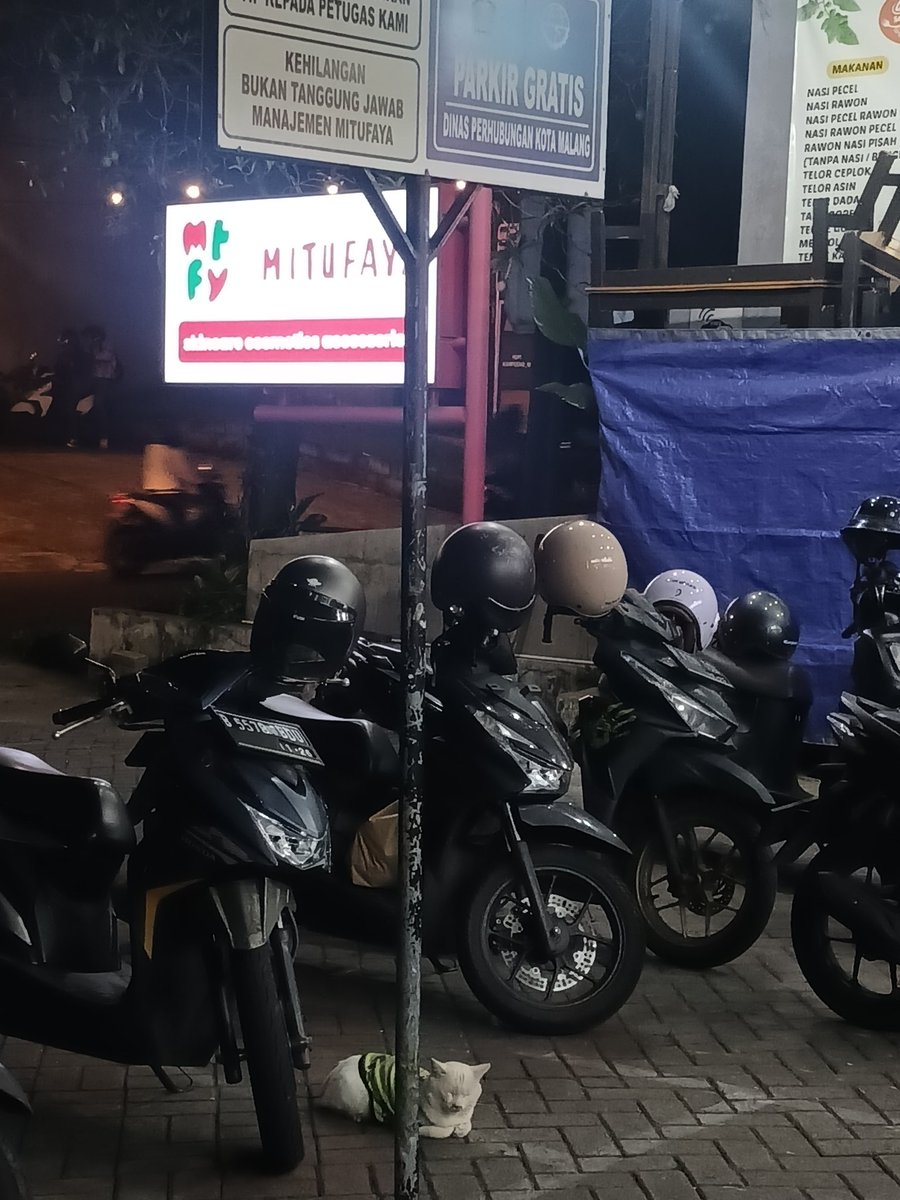 patapatapon tweet media