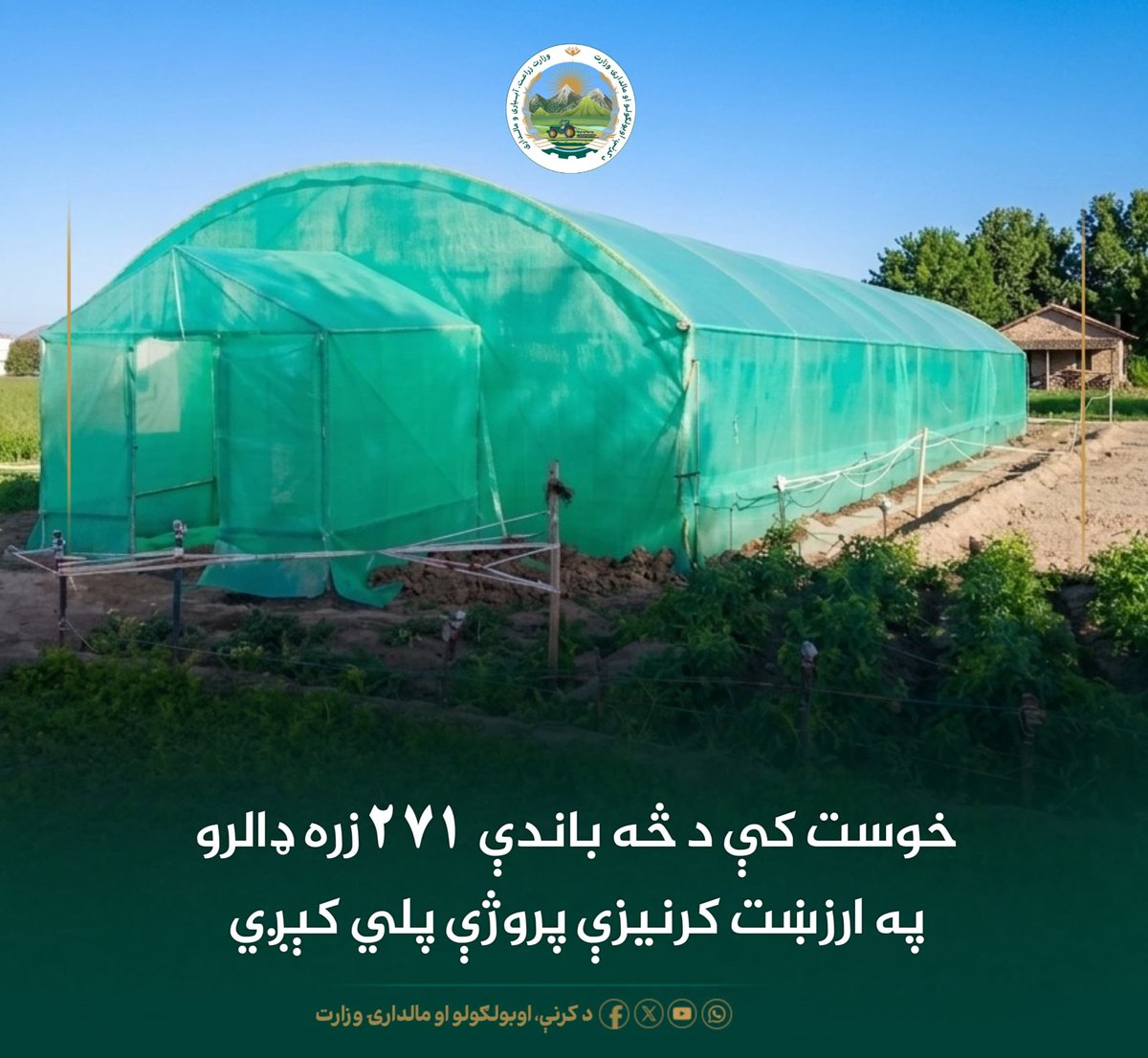 حمیدالله حمیدي tweet media