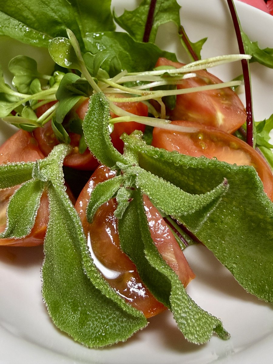 小福🌸소복 tweet media