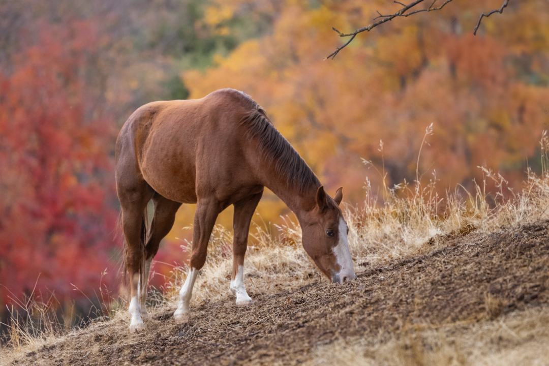 Tina Quillen Photography tweet media