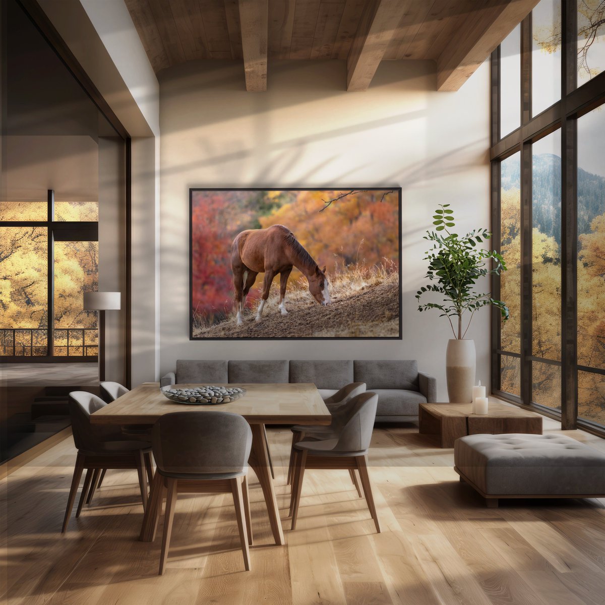 Tina Quillen Photography tweet media