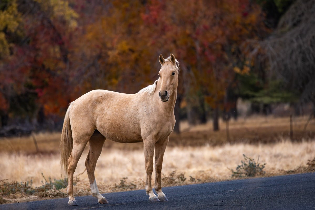 Tina Quillen Photography tweet media