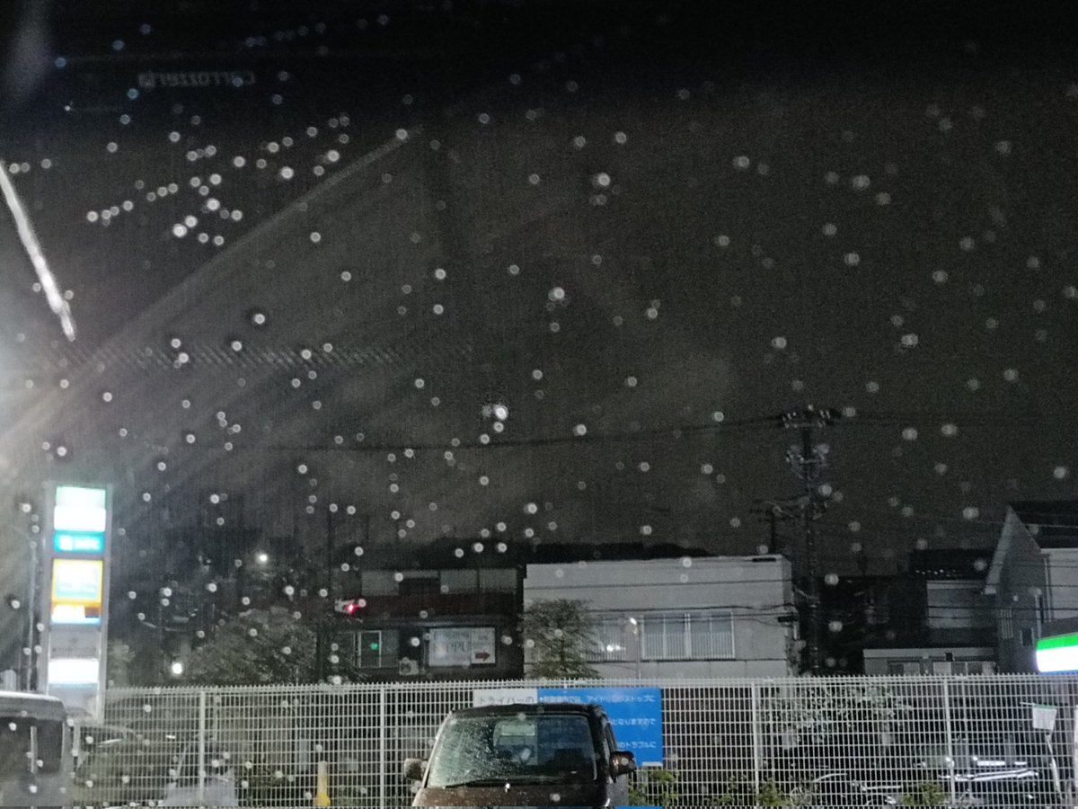 野良猫たくしい tweet media