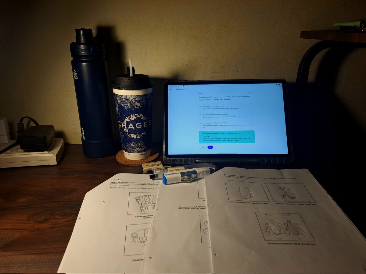 101nvu's tweet image. not an academic victim anymore 🤎 #studytwt