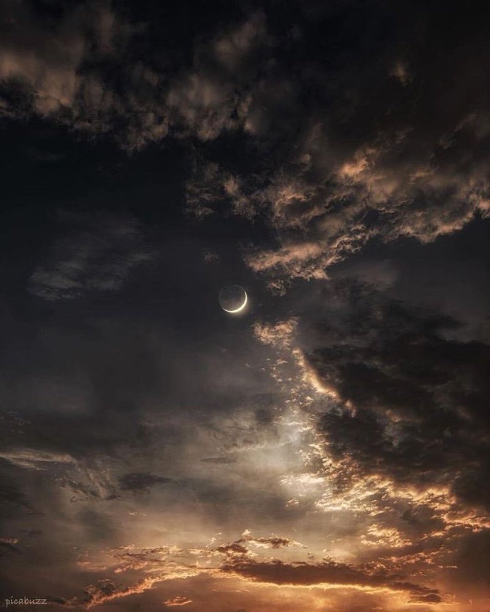 MOON LOVER tweet media