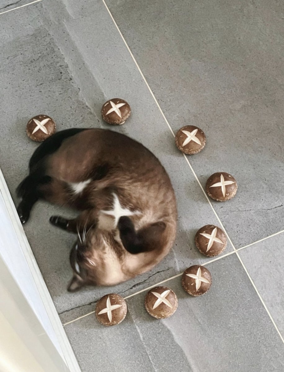 Kathleen tweet media