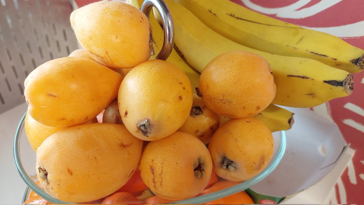 Marta🌌 tweet media