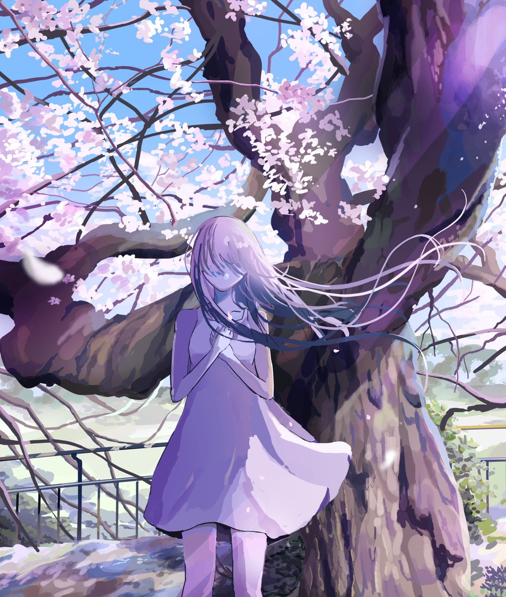 piyo7410's tweet photo. 桜の木
#イラスト　#桜　#背景イラスト https://t.co/YbUP63Xtcw