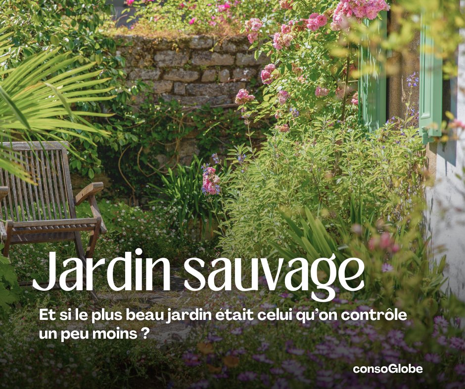 consoglobe's tweet image. Et si le jardin parfait n’était pas le plus net, mais le plus vivant ?
#Jardin #Biodiversité #NaturePBS 
➡️ consoglobe.com/jardin-sauvage…