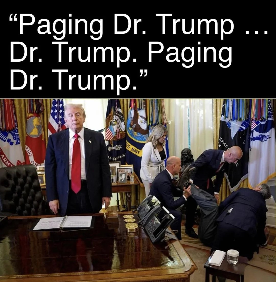 Molly Ploofkins tweet media