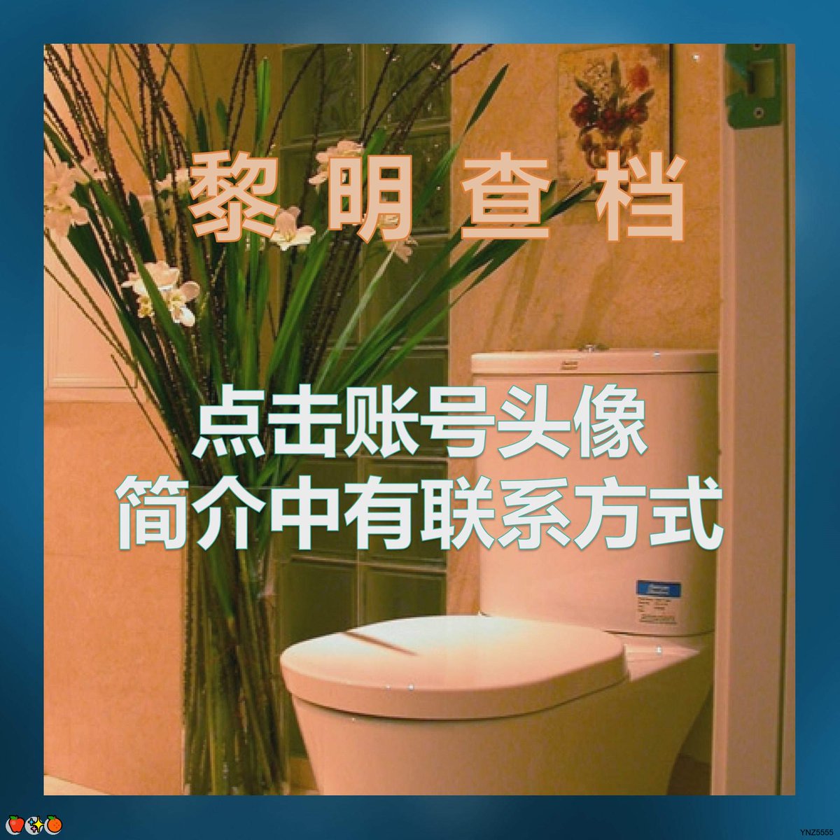 Robin Manus tweet media