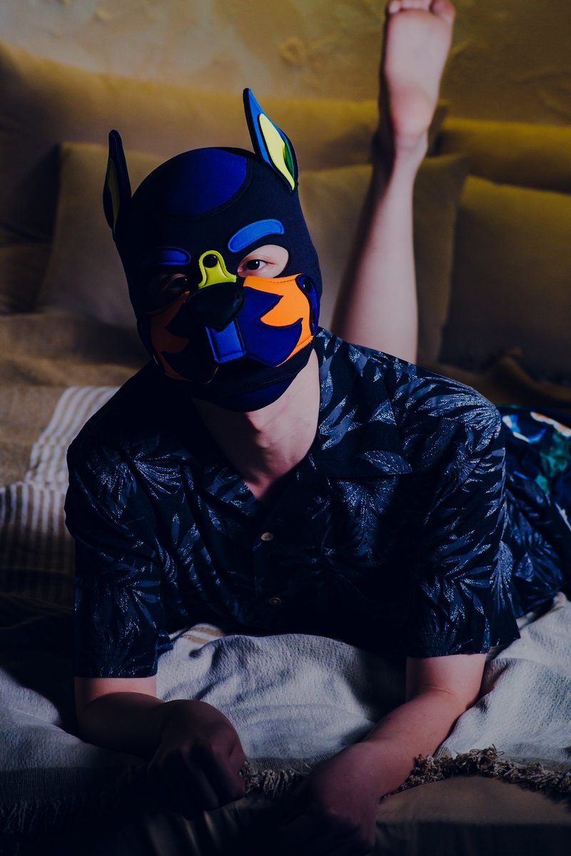 p4sPmc's tweet photo. ▶Tropical Lazy Pup🌴◀
📷 @p4sPmc
🐕🦺 @korinkunaritai
#WanOneFrame https://t.co/eoSGFcTv1X