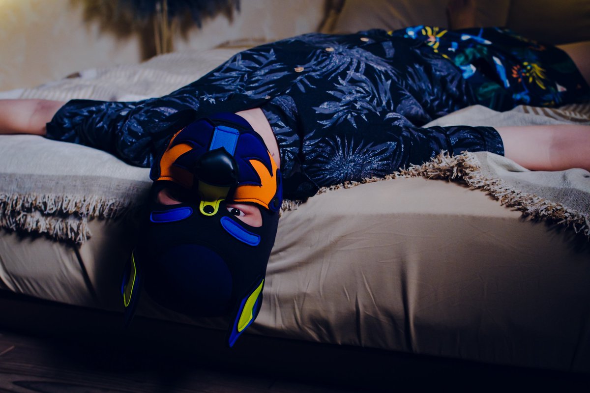 p4sPmc's tweet photo. ▶Tropical Lazy Pup🌴◀
📷 @p4sPmc
🐕🦺 @korinkunaritai
#WanOneFrame https://t.co/eoSGFcTv1X