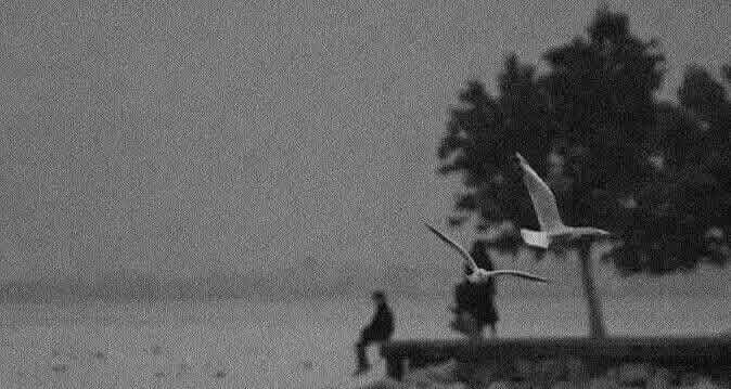 Asif Ali tweet media