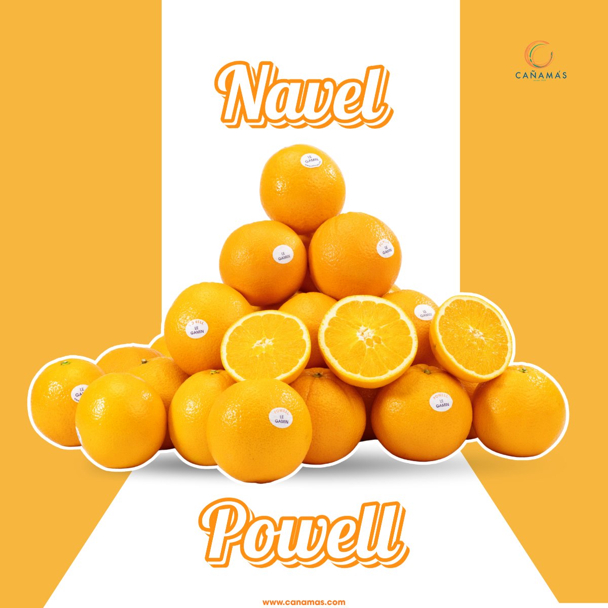 CanamasHnos's tweet image. La #NavelPowell destaca por su #sabor auténtico, con un buen zumo y una alta calidad. 

Esto es fruto de una #producciónresponsable y cuidada durante todo el invierno, respetando los ciclos naturales de la fruta y recolectando cada variedad en su momento óptimo.👌