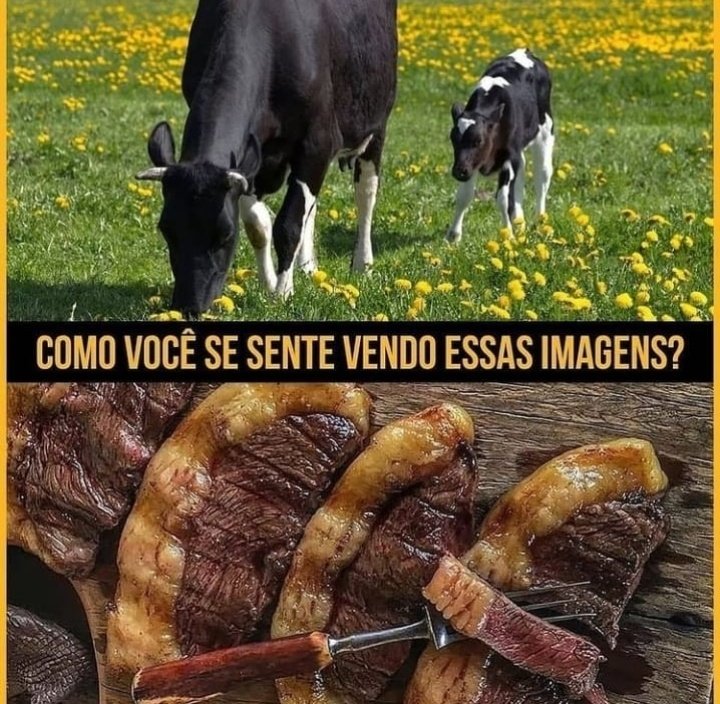 Traficante de Memes tweet media