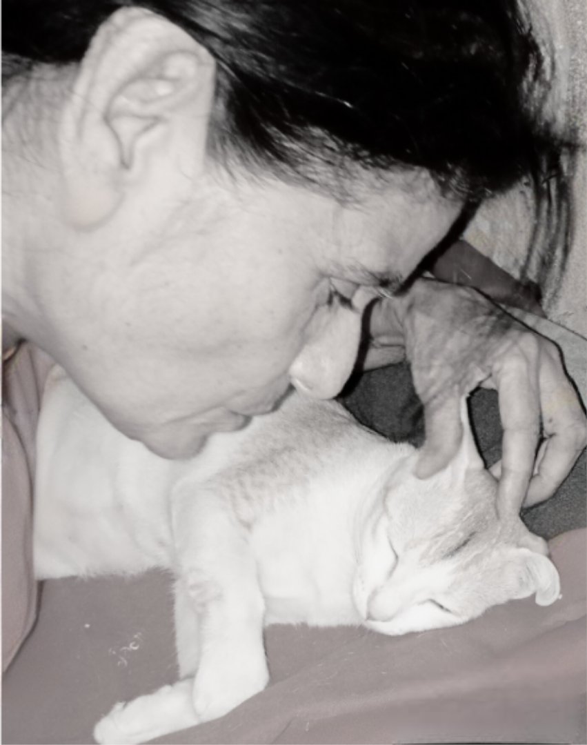 AD🌻 pls check 📌 tweet media