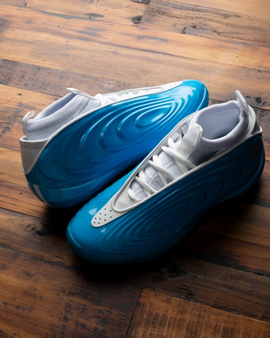 Sole Retriever tweet media