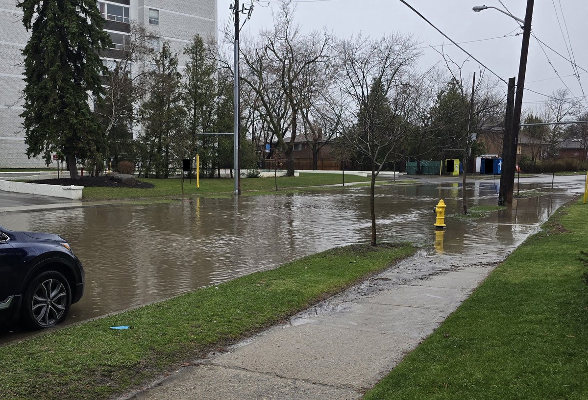 Laffy🖌🔜#FurnalEquinox2027 tweet media