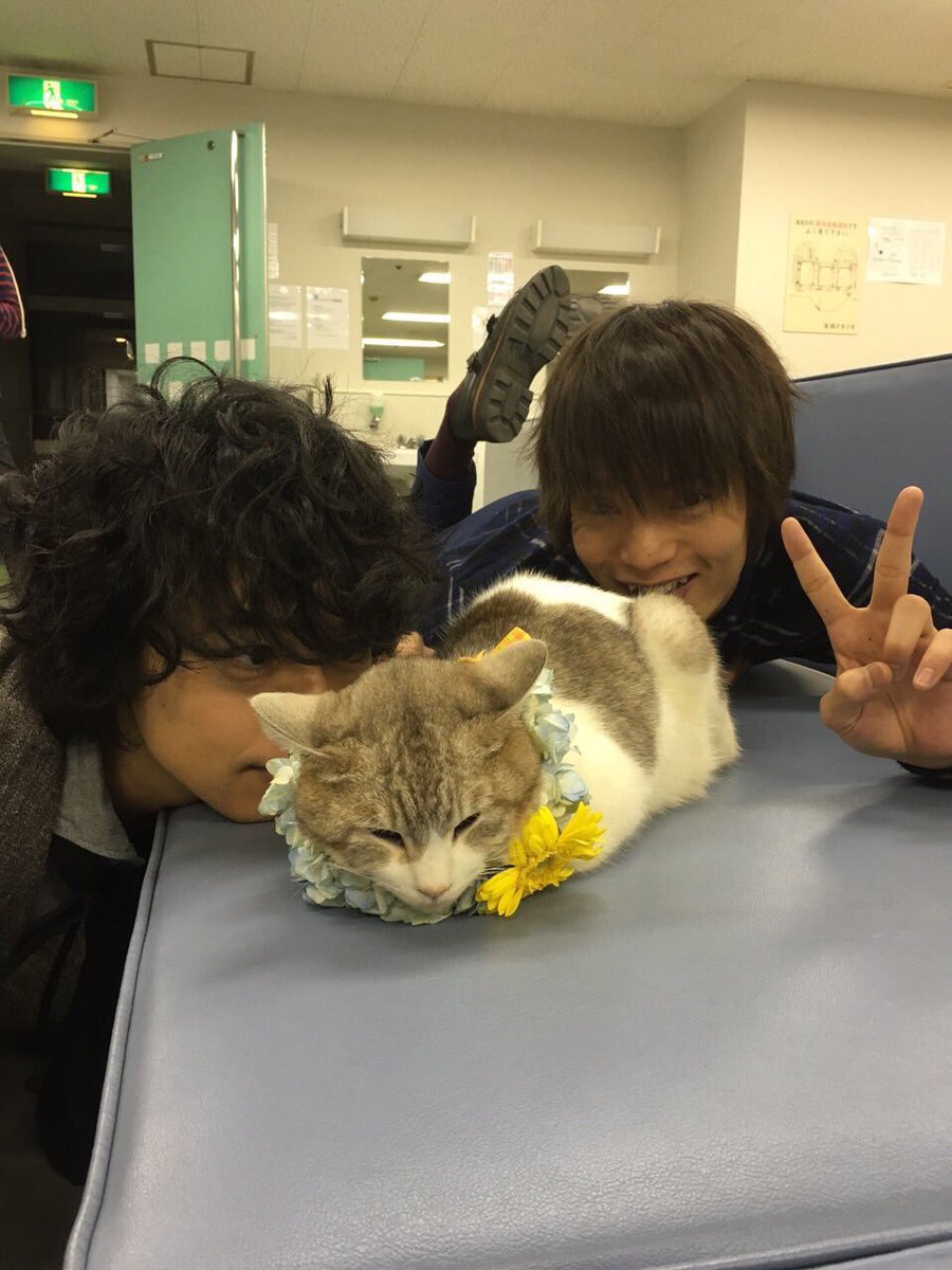 いねまき tweet media