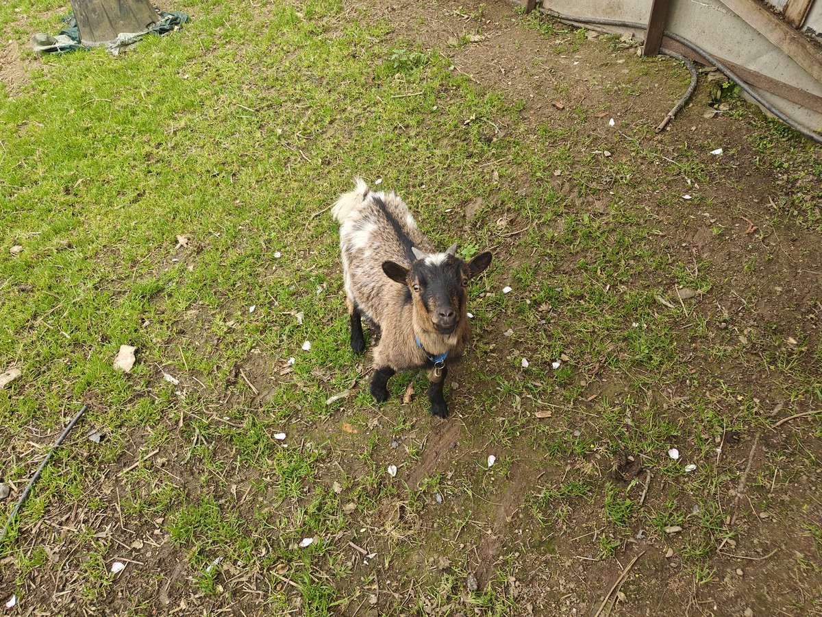 🌈 Gaysper 👻 慈悲深い·死·の·神🐉 tweet media