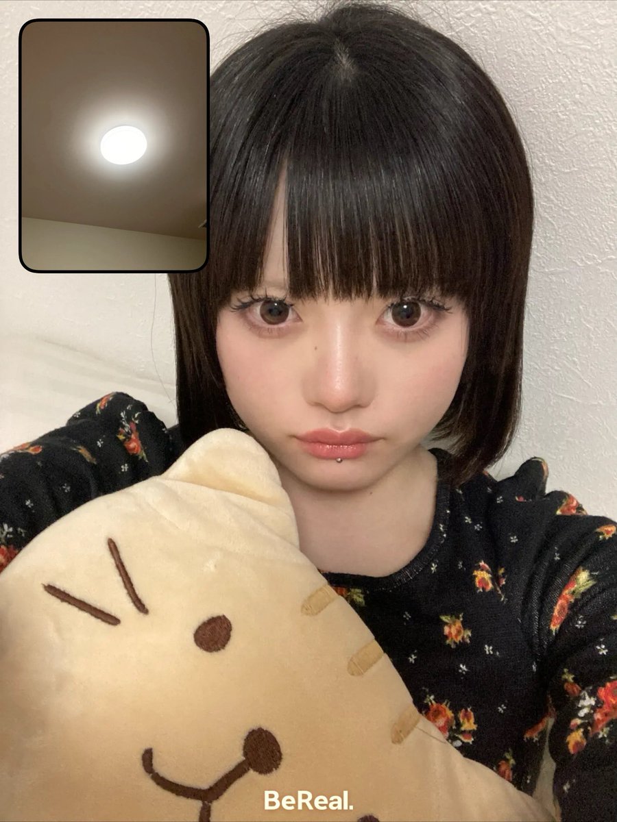 猫コロ tweet media