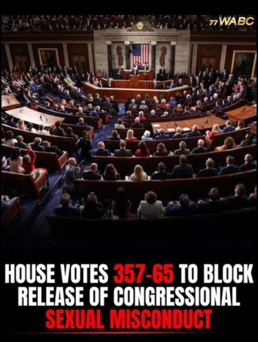 David Nino Rodriguez tweet media