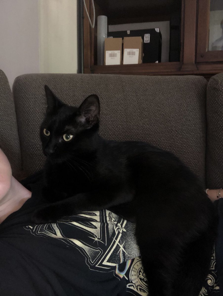 Nathuu | OC tweet media