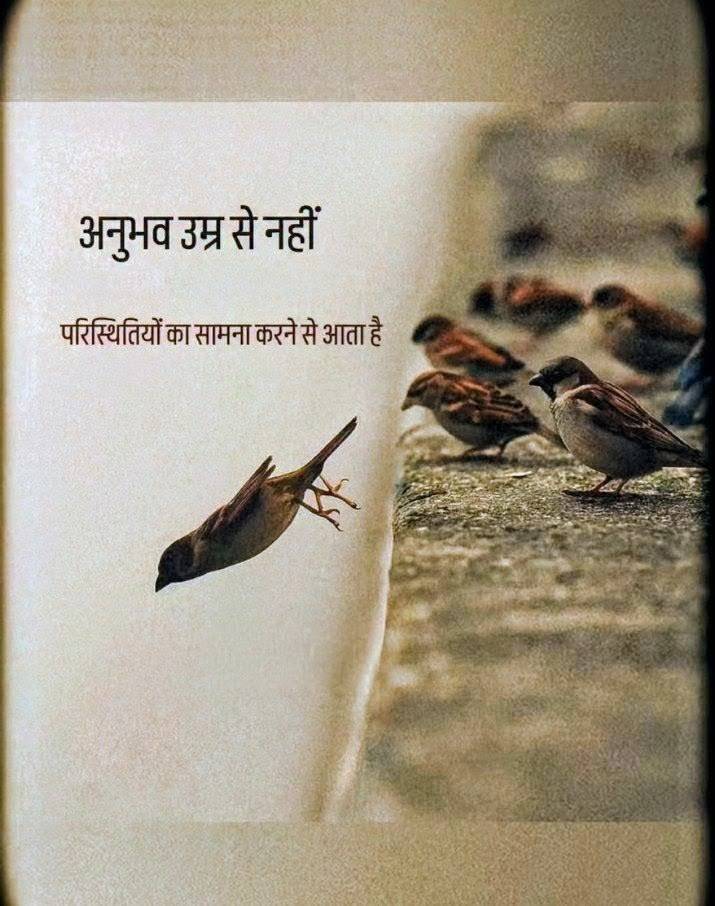 neha_nih's tweet photo. “उड़ान ऊँचाई से नहीं, हिम्मत से मिलती है…
अनुभव आराम में नहीं, चुनौतियों का सामना करने में बनता है।”
#Motivation #LifeLessons #KeepFlying #Courage 
#Tejran #wweraw #Abhiya #Oriele https://t.co/qjIBXdtwjW